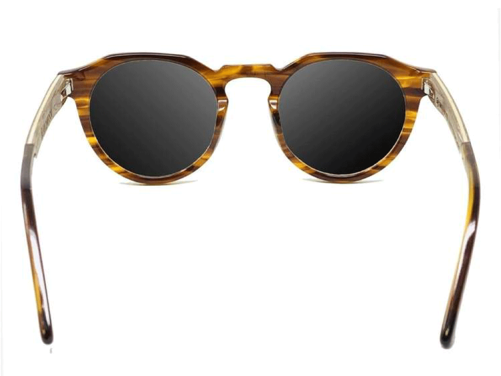 The Kitsilano Tortoise Shell From Wildwood